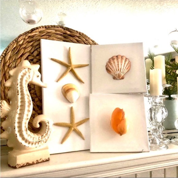 NWT! Trio Natural Starfish Seashell Fall Wall Art on Canvas - Picture 1 of 6